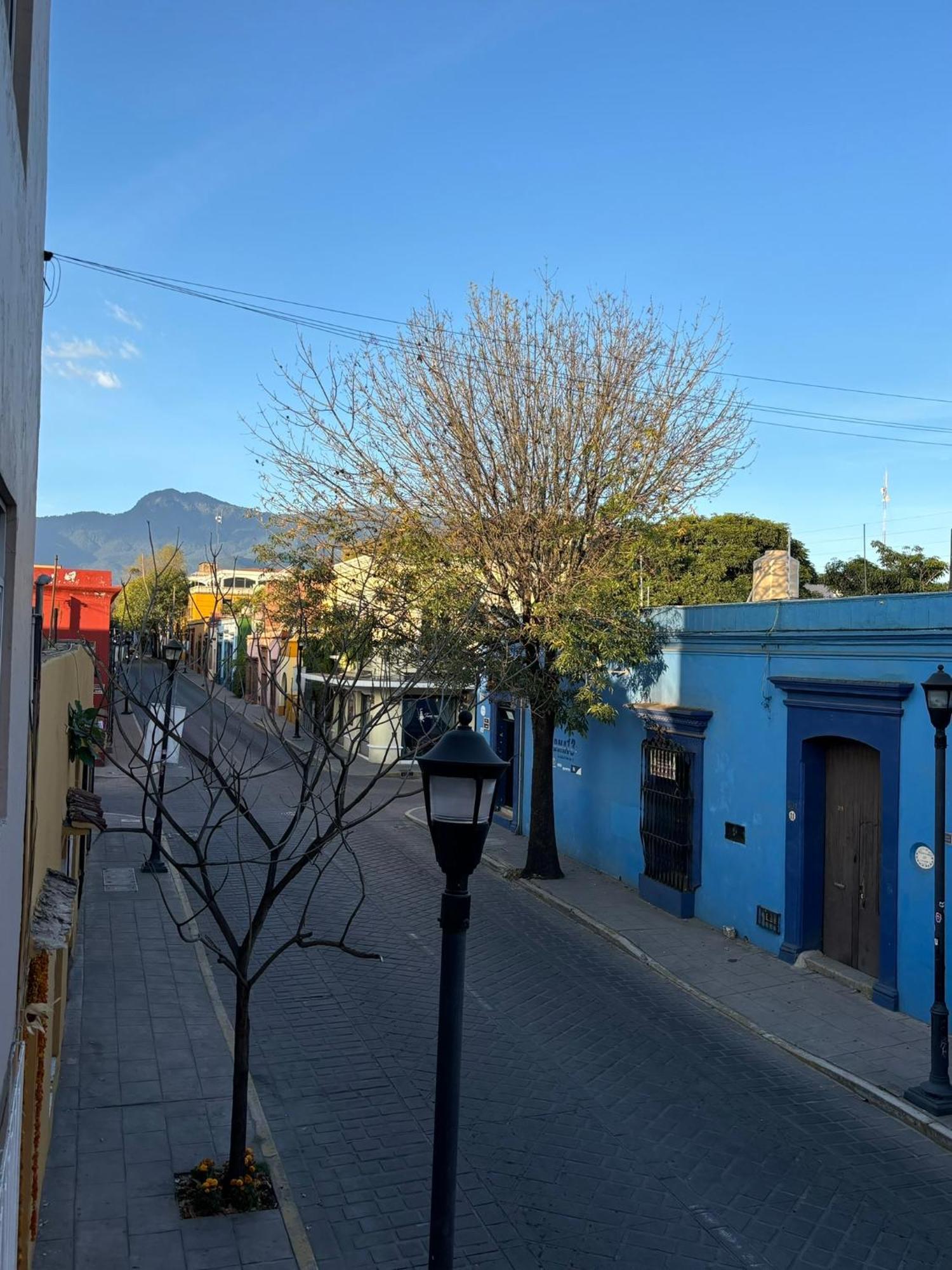 Departamento En El Centro De Oaxaca Apartment Ngoại thất bức ảnh